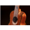 Ortega ECLIPSE-CC4 ukulele concert 4-str. ortega all solid mahogany, rw armrest slotted head,gloss,incl gigbag