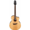 Ibanez PA230E NSL electric acoustic guitar