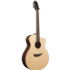 Ibanez PA300E NSL electric acoustic guitar