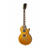 Gibson Slash Les Paul Standard DG Goldtop Dark Back electric guitar