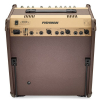 Fishman Loudbox Performer acoustic guitar amplifier