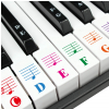 Guitto GFM02 piano keys stickers set