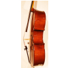 Strunal Cello Maestro Linz 4/7 H - cello, size 4/4