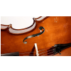 Strunal Cello Maestro Linz 4/7 H - cello, size 4/4