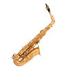 Arnolds&Sons AAS 110 Alto saxophone