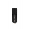 Stagg SUSM60D condenser microphone USB