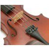 Hoefner H6G violin 4/4 (set)