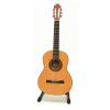 Baton Rouge DF33C classical guitar