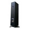 Triangle Esprit Altea Ex floor standing speakers 100W/8 (black)