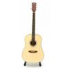 Pasadena AG1 acoustic guitar