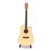 Pasadena AGC1 acoustic guitar, cutaway