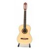 Pasadena CG1 classical guitar