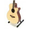 Pasadena AG2-NA acoustic guitar, cutaway