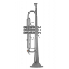 Bach TR-450S Bb trumpet, lacquered (with case)