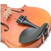 Sandner violin 4/4 (case, bow)