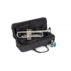 Bach TR-650S Bb trumpet, silver plated (with case)
