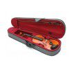 Sandner violin 4/4 (case, bow)