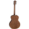 Baton Rouge AR61S/A acoustic guitar