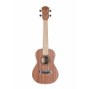 Akmuz U23 BWS concert ukulele with gigbag