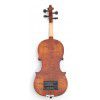 Leonardo EV-25  FB electric violin 4/4