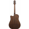 Ibanez AAD190CE-OPN Open Pore Natural electric acoustic guitar