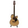 Takamine EG220C acoustic-electric guitar
