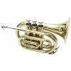 Arnolds & Sons AST200 Bb Pocket Trumpet  (w/ case)