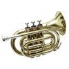 Arnolds & Sons AST200 Bb Pocket Trumpet  (w/ case)