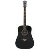 T.Burton Greengo W BK acoustic guitar
