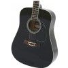 T.Burton Greengo W BK acoustic guitar