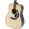 Takamine G320 DRD NAT acoustic guitar