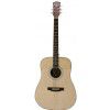 Morrison MBD100 acoustic guitar