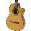 Takamine EG124C classical-electric guitar