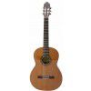 DeFilipe 55C classical guitar