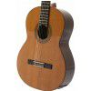 DeFilipe 55C classical guitar