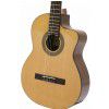 DeFilipe 11SCWE classical guitar with EQ