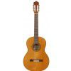 BatonRouge Romero 45 classical guitar (DAMAGED - cracked soundboard)