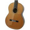 Esteve 8 classical guitar