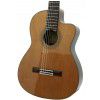 Esteve 1GR07CE classical guitar with EQ