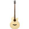 Hoefner HA-B03 acoustic bass guitar