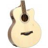 Hoefner HA-B03 acoustic bass guitar