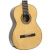 Baton Rouge DF44 classical guitar