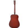 Hoefner HAS-D01 N acoustic guitar