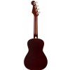 Fender Avalon Tenor Ukulele 2TS WN tenor ukulele