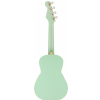 Fender Avalon Tenor SFG WN tenor ukulele