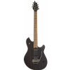 EVH Wolfgang WG Standard, Maple Fingerboard, Ziricote electric guitar