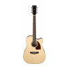 Ibanez PF 16WCE NT electric-acoustic guitar
