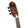 Ortega RTPDLX-FMA Flamed Maple Blue TourPlayer DeLuxe electric-nylon string guitar