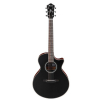 Ibanez AE300FBJR-BOP Limited Edition acoustic-electric guitar