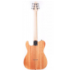 Samick FA-1 N electric guitar